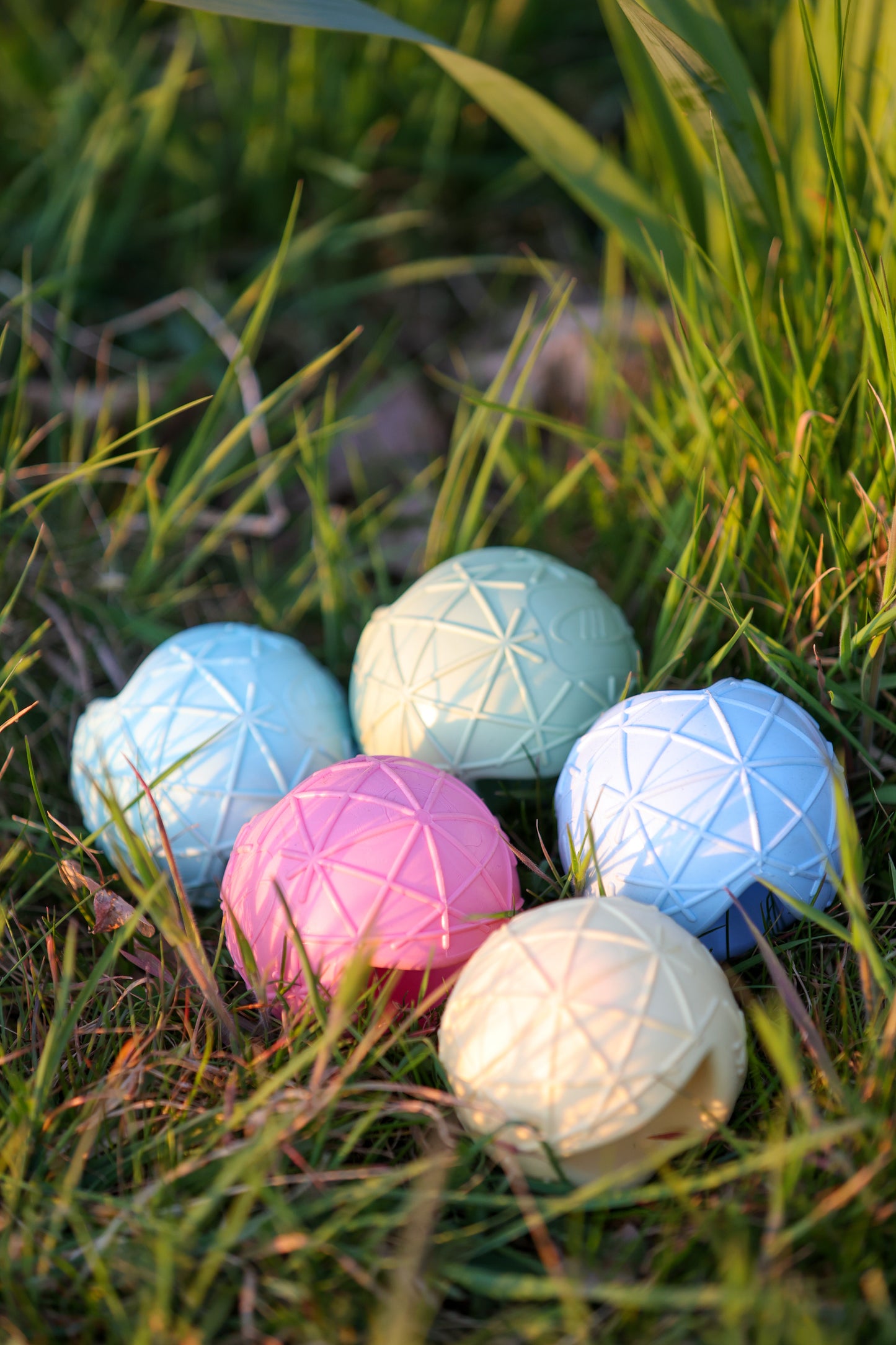 Moby Dog Ball