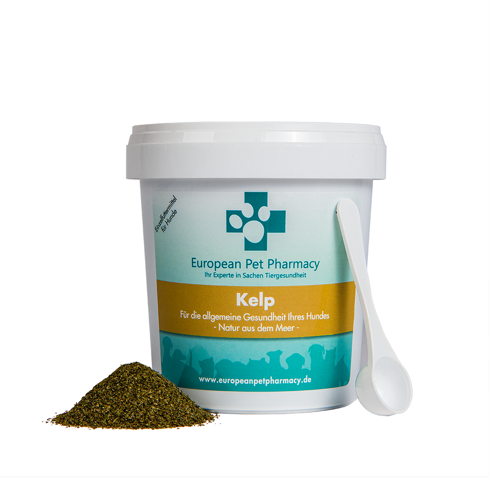 Kelp