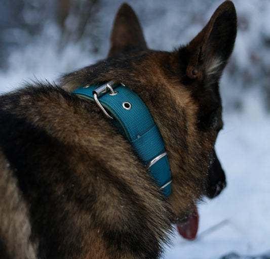 Halsband Adventure