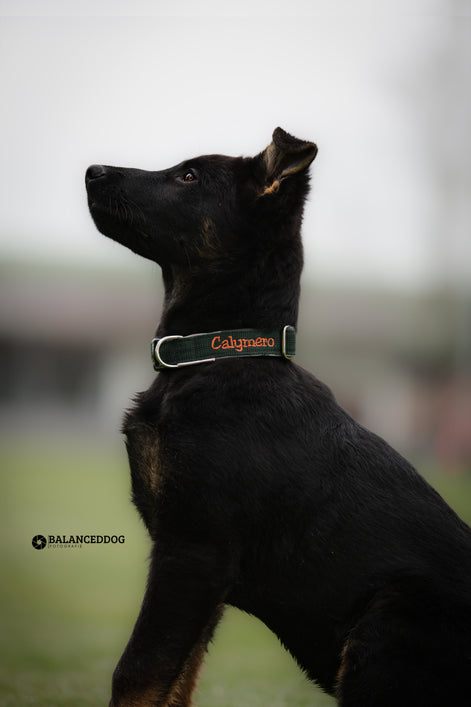 Halsband Adventure MINI