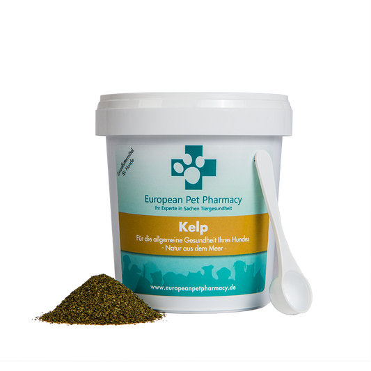 Kelp