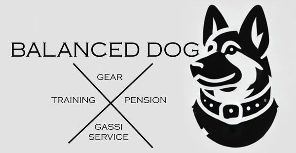 BalancedDog Gear