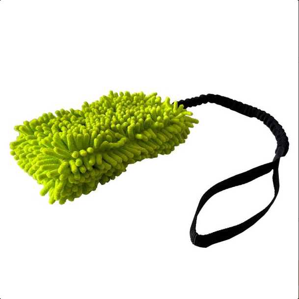 Welpenwuschel mit Expander