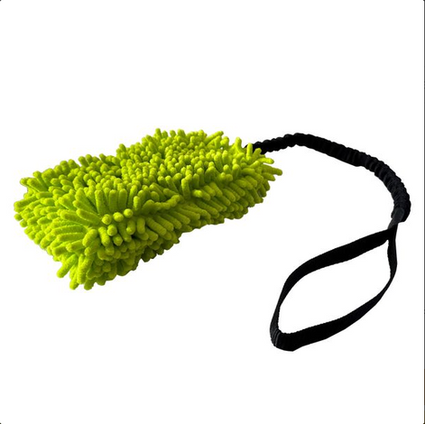 Welpenwuschel mit Expander