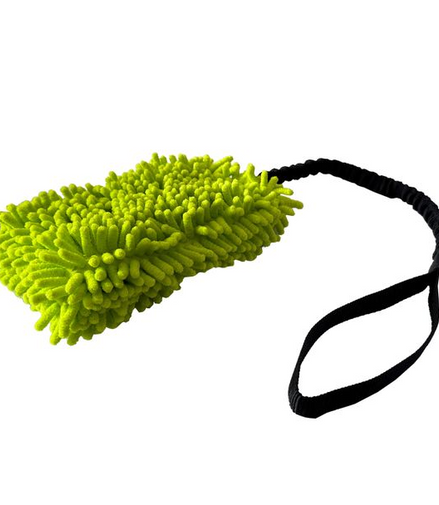 Welpenwuschel mit Expander