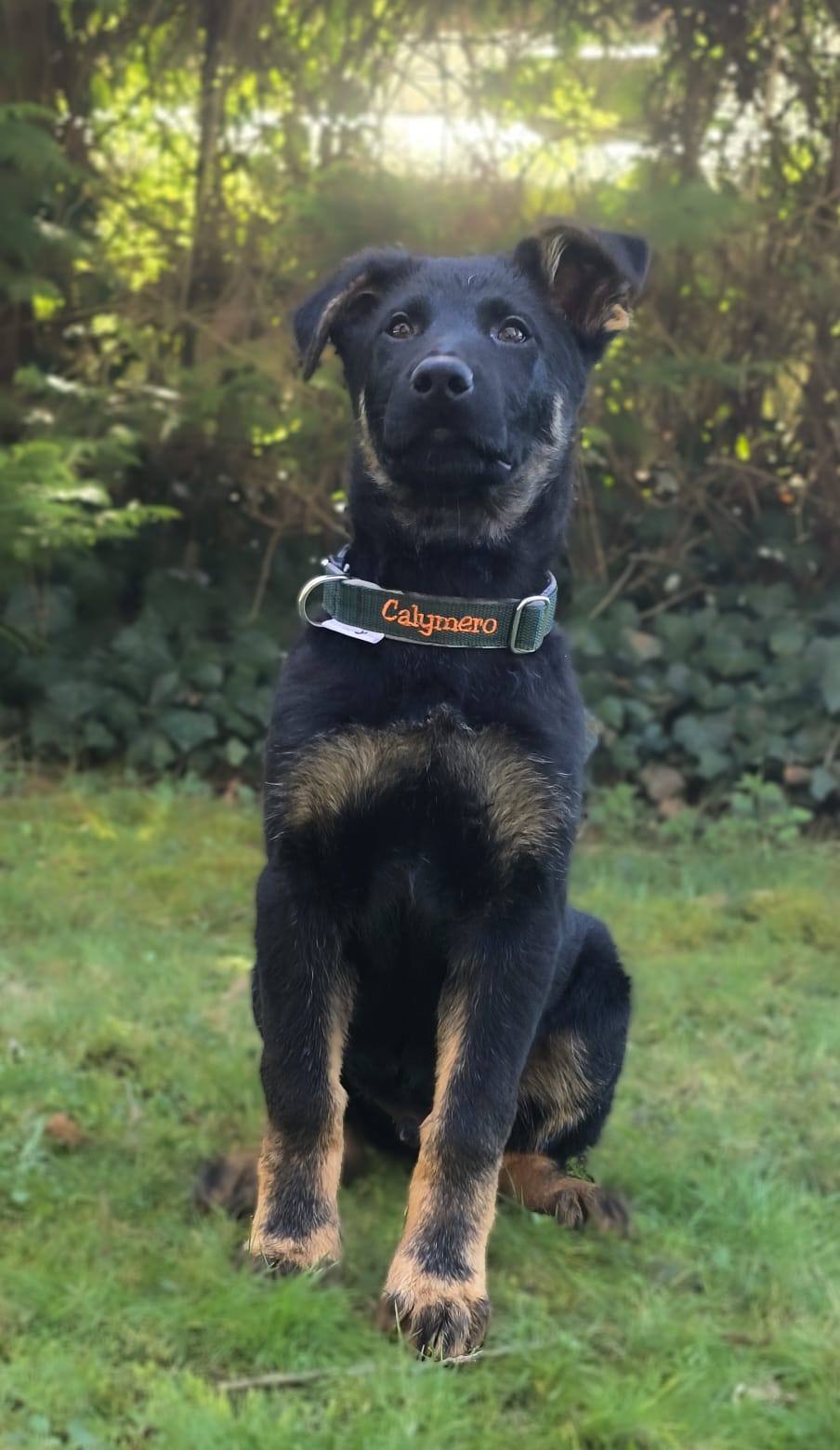 Welpenhalsband GrowPup