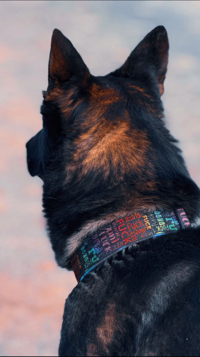 Halsband Adventure STRONG