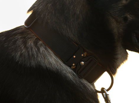 Halsband Adventure LOCK